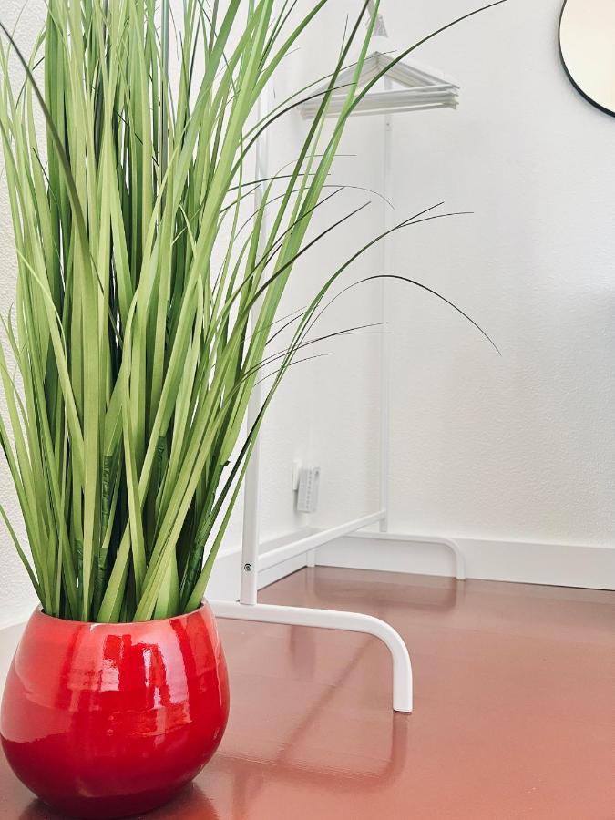 Lanton Plage - Appartement 6 Pers. Terrasse Luaran gambar